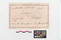 Etikett zu Perlenkette (NHMW-PRAE-024056)